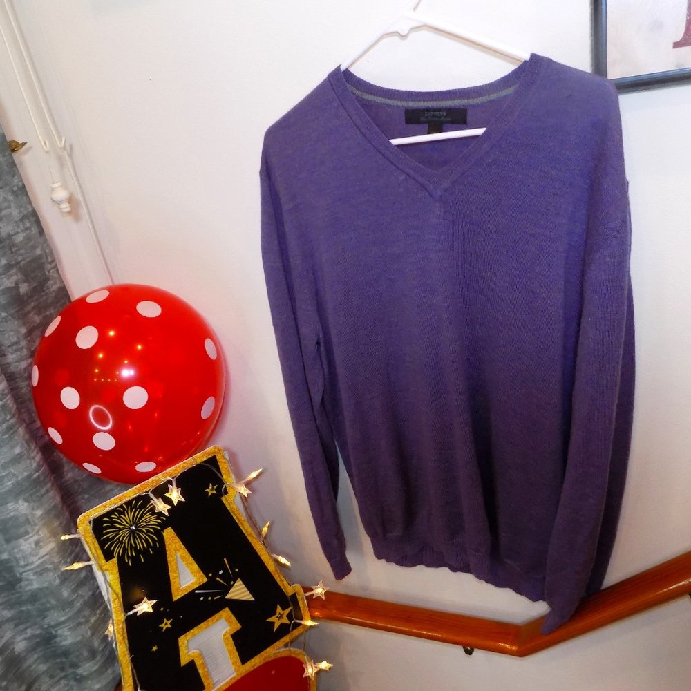EXPRESS Purple V Neck Sweater